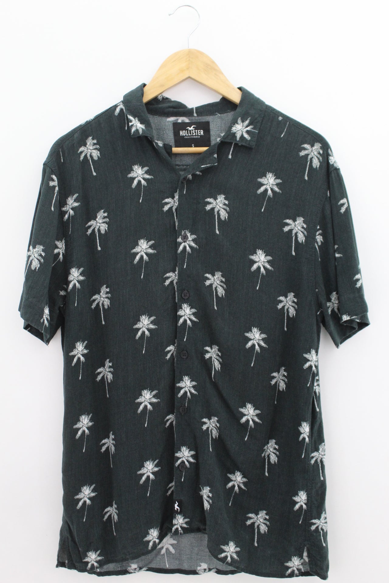 CAMISA Masculino Hollister