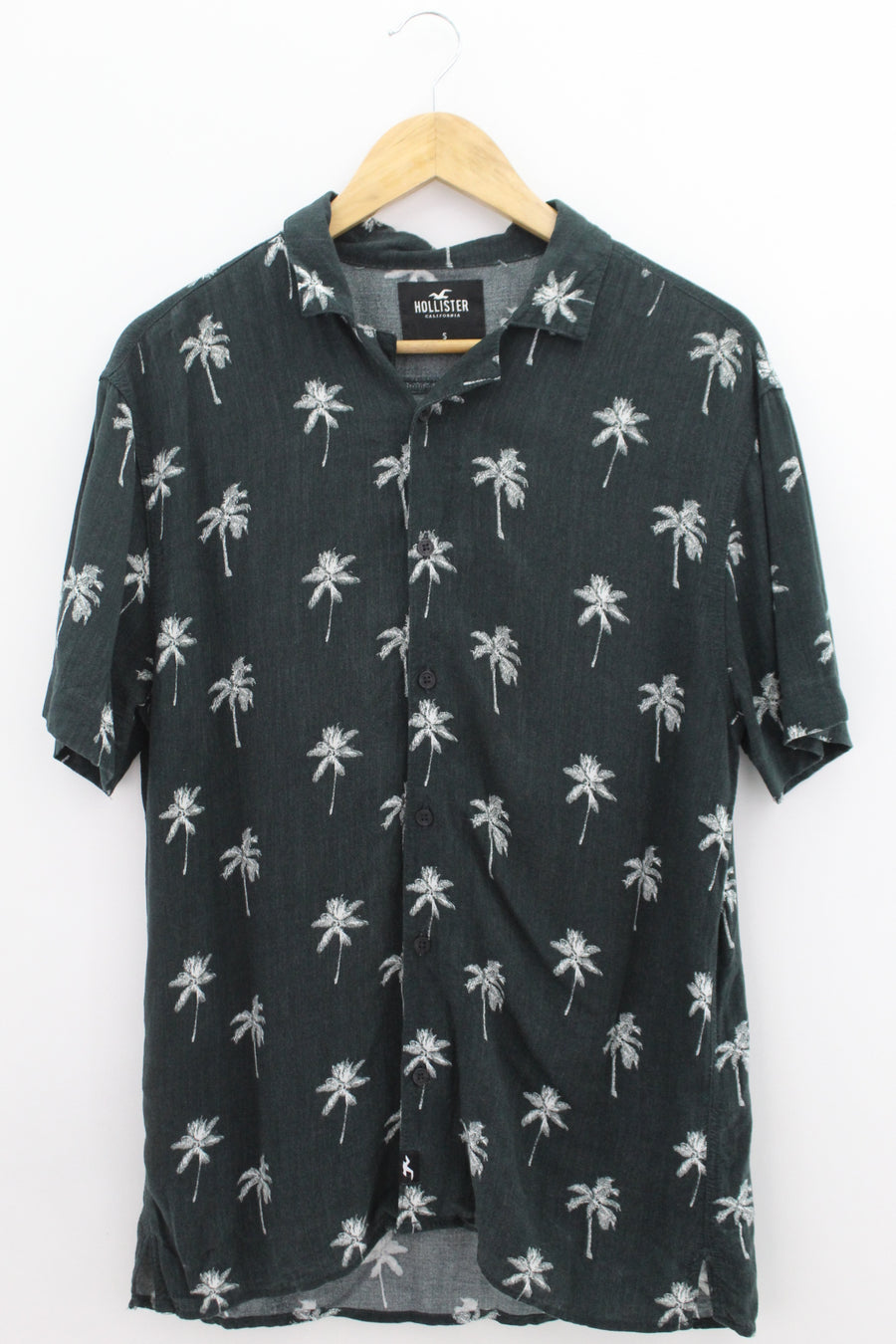 CAMISA Masculino Hollister