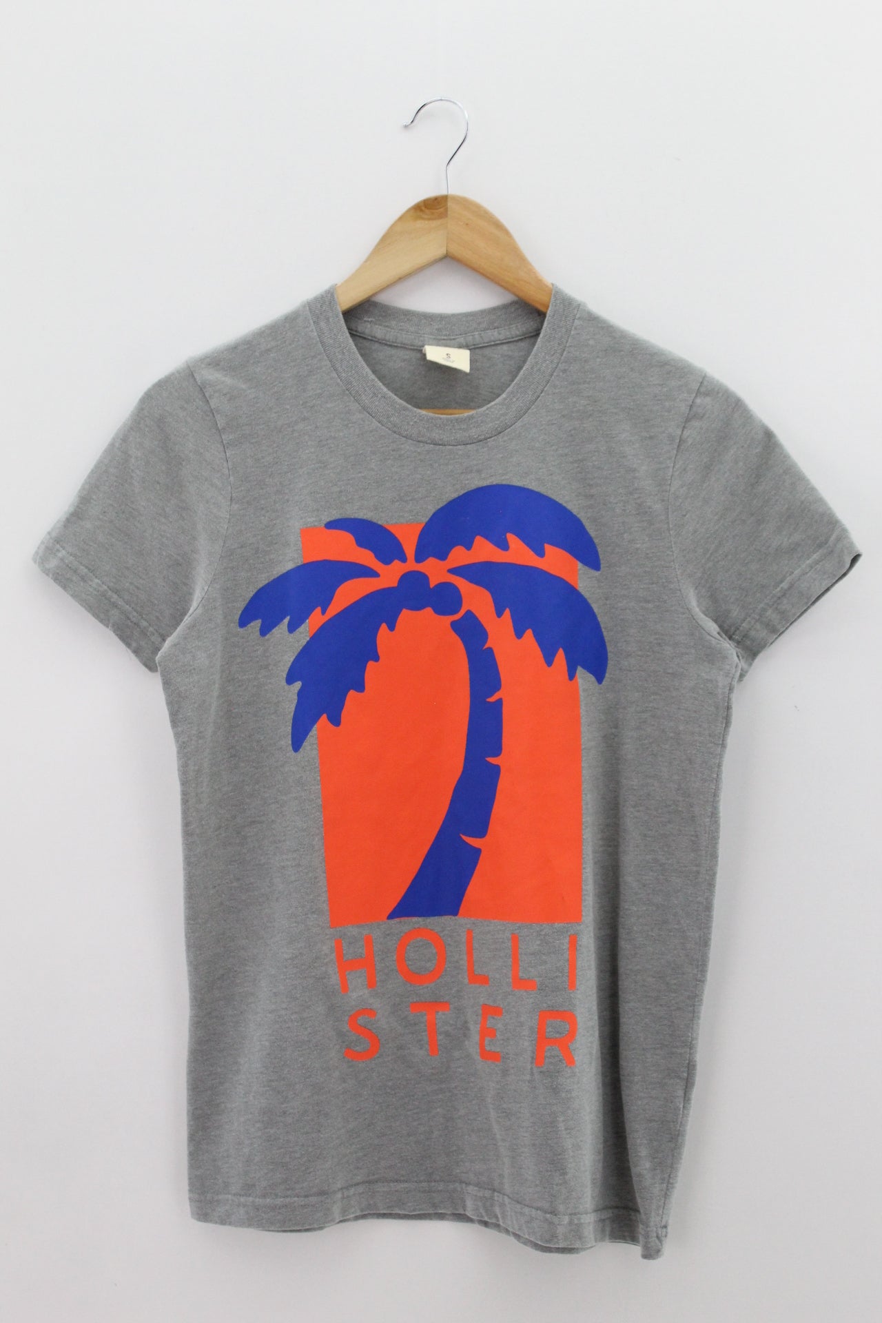 CAMISETA Masculino Hollister